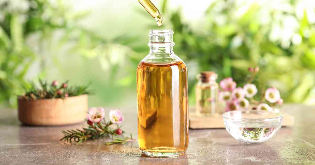 Tinh dầu tràm trà trị mụn ẩn cho da dầu