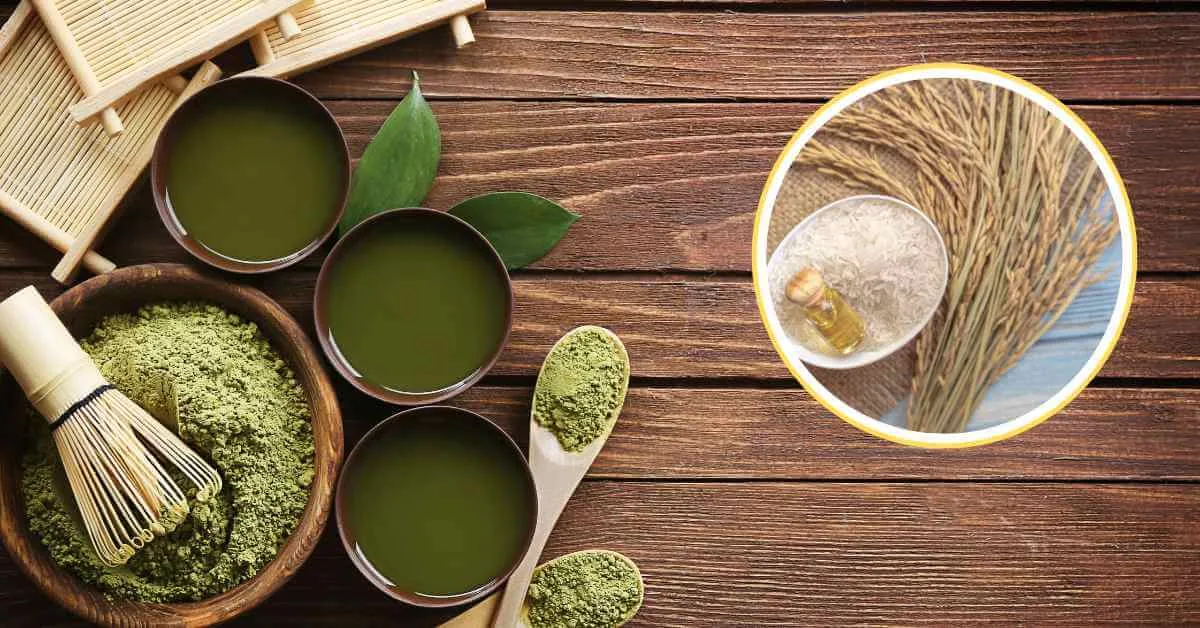 Cách làm mặt nạ trà xanh cho da dầu dùng trà xanh và cám gạo