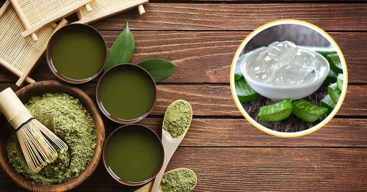 Mặt nạ trà xanh và nha đam