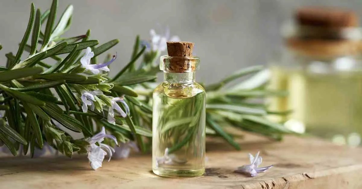 Tinh dầu tràm trà