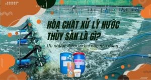 Hóa chất xử lý nước thủy sản