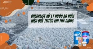 xử lý nước ao nuôi