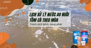 Xử lý nước theo mùa