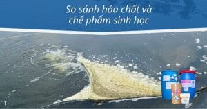 So sánh hóa chất và chế phẩm sinh học