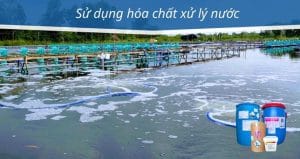 sử dụng hóa chất xử lý nước