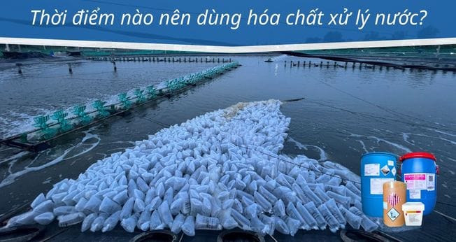 thời điểm nên xử dụng hóa chất xử lý nước