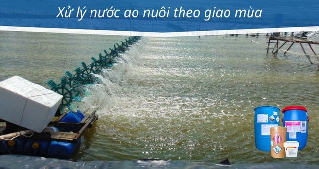 xử lý nước ao nuôi theo giao mùa