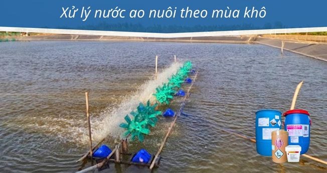 xử lý nước ao nuôi theo mùa khô
