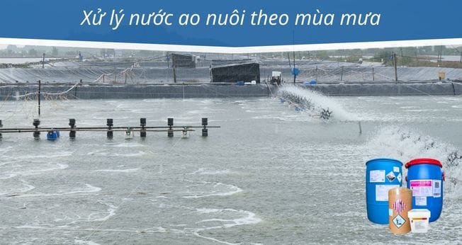 xử lý nước ao nuôi theo mùa