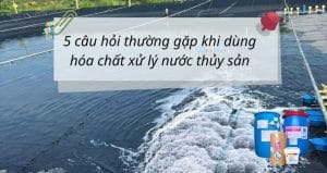sử dụng hóa chất xử lý nước