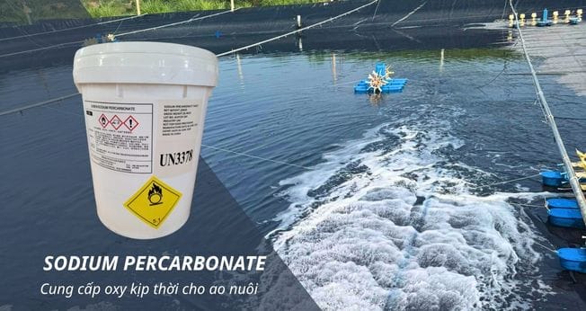 SODIUM PERCARBONATE