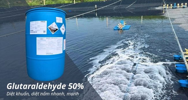 Glutaraldehyde 50%