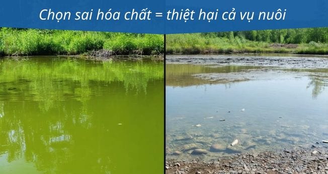 Vì sao cần chọn đúng hóa chất xử lý nước?