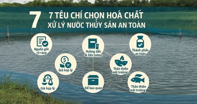 7 tiêu chí chọn hóa chất xử lý nước thủy sản an toàn
