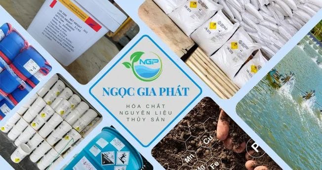 Ngọc Gia Phát