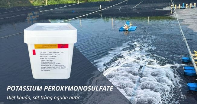 POTASSIUM PEROXYMONOSULFATE