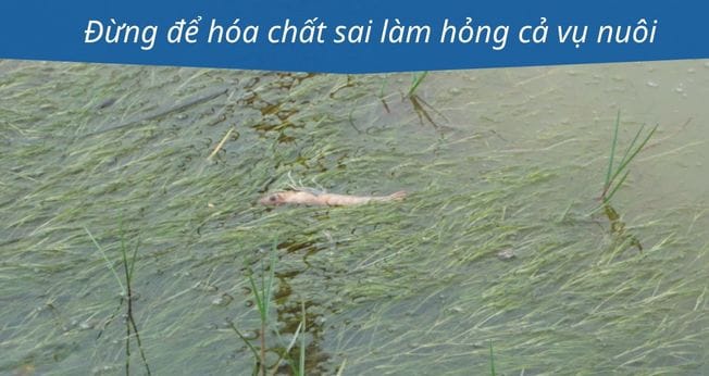Sai lầm thường gặp khi chọn hóa chất xử lý nước