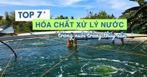 hóa chất xử lý nước