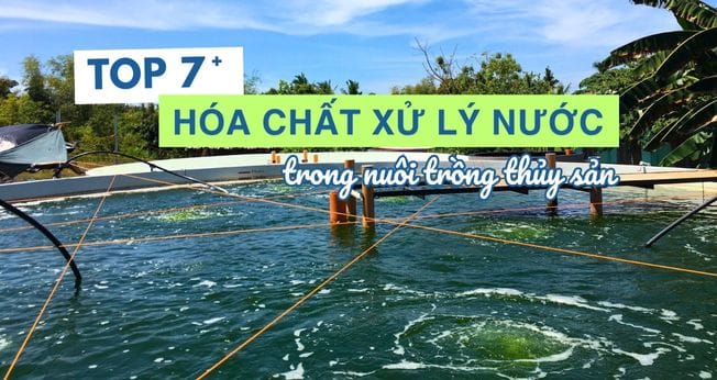 hóa chất xử lý nước