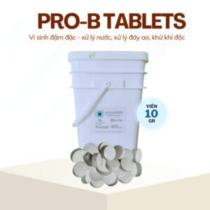 Men vi sinh Pro B Tablets xử lý đáo ao