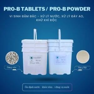 Men vi sinh Pro B Tablets và Pro B Powder