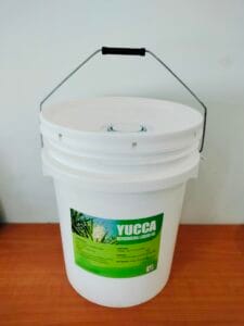 Yucca dạng xô - hàng Việt Nam