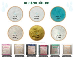 EDTA - Khoáng vi lượng